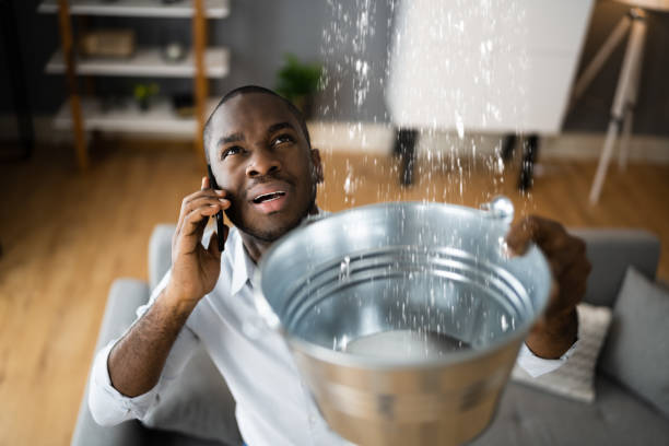 Best 24/7 water damage repair  in Gibbon, NE