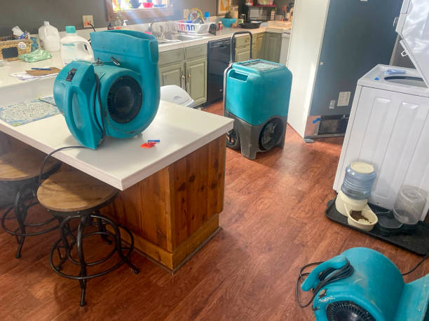 Best Water damage restoration near me  in Gibbon, NE