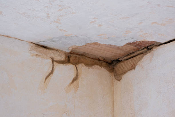 Best Residential water damage restoration  in Gibbon, NE