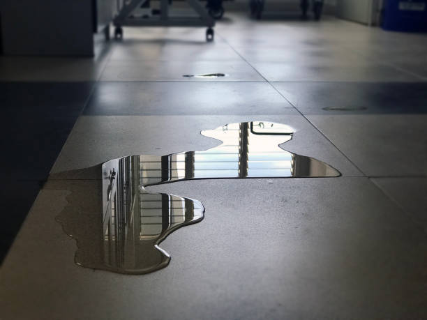 Best Water damage restoration near me  in Gibbon, NE