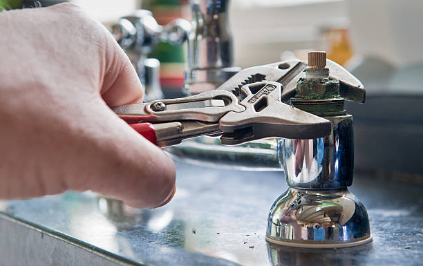 Best Professional water damage repair  in Gibbon, NE