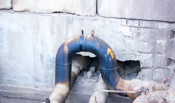 Best Water damage mitigation services  in Gibbon, NE